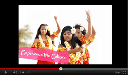 Sightseeing Tours, Travel Packages and Day Trips from Tours4Fun.com