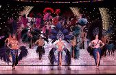 Las Vegas shows