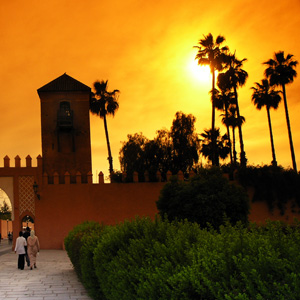 Morocco Tours
