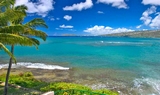 Tours de la Isla de Oahu