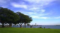 Los Angeles Tours
