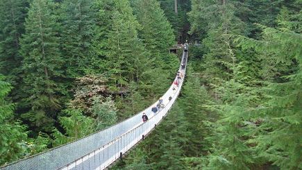 5.5 Hours of Vancouver City and Capilano Suspension Bridge Tour