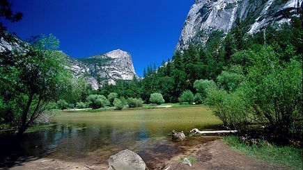 6-Day San Francisco, Yosemite N.P., Disneyland & Universal Studios Tour (With LAX Airport Transfer)
