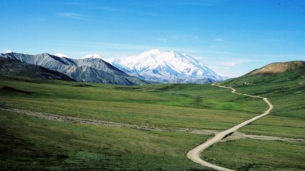 Alaska Adventure