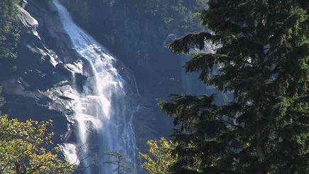 10 Hours of Whistler and Shannon Falls Tour 10 Hours of Whistler and Shannon Falls Tour