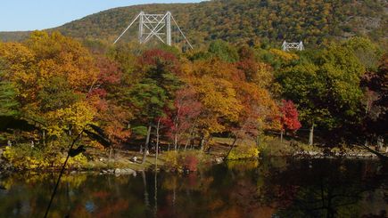 4-Hour Fall Foliage Tour from New York