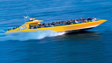 Chicago SeaDog Speedboat Lake Tour