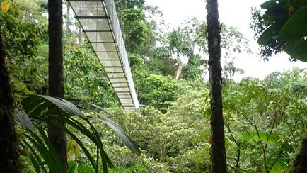 Tortuguero & Corcovado