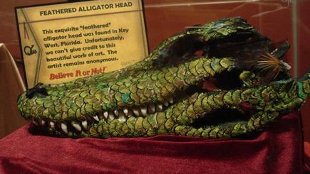 Ripley's Museum Key West Ripley's Museum Key West