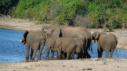 Untouched Botswana with Zambia's National Parks