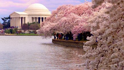 2 D&iacute;as: en Autob&uacute;s Tur&iacute;stico a Shenandoah Cavern, Washington D.C., Filadelfia, Baltimore desde Nueva York (Super Oferta)