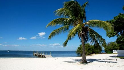 Round Transportation from Fort Lauderdale to Key West
