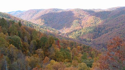 8 Day Virginia, Tennessee & Mississippi US Southeastern Tour from NY (With Airport Transfers) 8 Day Virginia, Tennessee & Mississippi US Southeastern Tour from NY (With Airport Transfers)