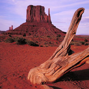 8-Day Canyon Country Adventure Bus Tour