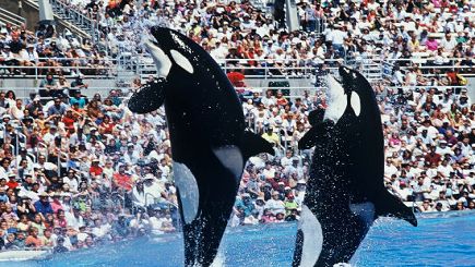 7 Días en Yosemite, el Gran Cañón, San Francisco, Disneylandia y Estudios Universales