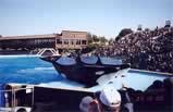 1-Day Sea World of California Tour