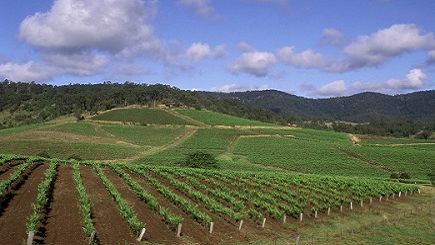 Hunter Valley Wineries