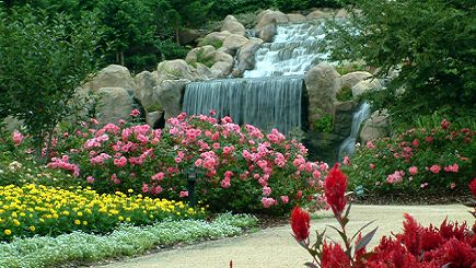 Hunter Valley with Gardens