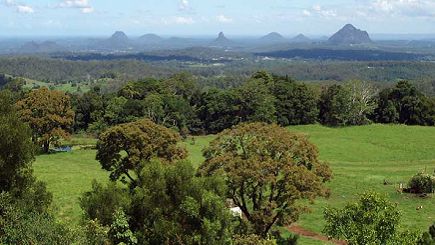 Sunshine Coast and Montville Tour