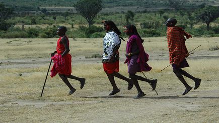 Tanzania Highlights