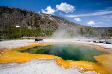 12 Días en Autobús - Parque Nacional Yellowstone, Monte Rushmore, Las Vegas, San Francisco, Cuenca Oeste Gran Cañón (Pasarela Skywalk), parque Temático o Centro Comercial Palm Springs desde Los Ángeles/ Las Vegas 12 Días en Autobús - Parque Nacional Yellowstone, Monte Rushmore, Las Vegas, San Francisco, Cuenca Oeste Gran Cañón (Pasarela Skywalk), parque Temático o Centro Comercial Palm Springs desde Los Ángeles/ Las Vegas