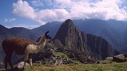 Grand Tour of South America with Brazil's Amazon & The Galapagos On Board The Santa Cruz