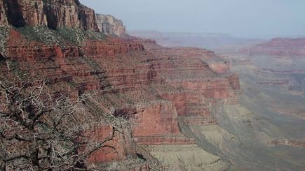 Grand Canyon Celebration Helicopter & Boat Tour with Skywalk
