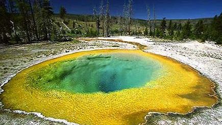 7-Day Yellowstone National Park, West Grand Canyon(Skywalk) Bus Tour (Start in LV, End in LA) 7-Day Yellowstone National Park, West Grand Canyon(Skywalk) Bus Tour (Start in LV, End in LA)