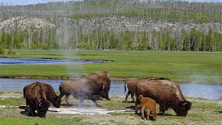 7-Day Yellowstone National Park, Mt. Rushmore, Arches National Park & Lenwood Tour (Start in LV, End in LA) **One night stay in Canyon Lodge inside Yellowstone Park** 7-Day Yellowstone National Park, Mt. Rushmore, Arches National Park & Lenwood Tour (Start in LV, End in LA) **One night stay in Canyon Lodge inside Yellowstone Park**