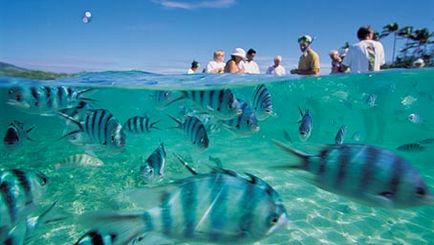 New Zealand Explorer with Cairns, Sydney & Fiji New Zealand Explorer with Cairns, Sydney & Fiji