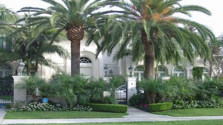 HOLLYWOOD EN PLENO: LOS ESTUDIOS WARNER Y LAS CASAS DE LAS ESTRELLAS HOLLYWOOD EN PLENO: LOS ESTUDIOS WARNER Y LAS CASAS DE LAS ESTRELLAS