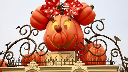 1 Día: Visita a Disneyland