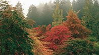 Portland Tours