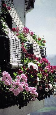 4 Day Tour in Andalucia & Toledo (Tourist Class) 4 Day Tour in Andalucia & Toledo (Tourist Class)