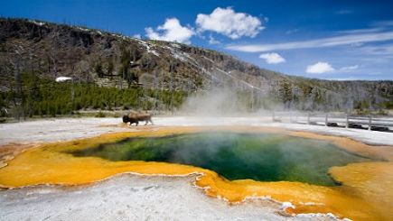 5-Day Yellowstone National Park, Mt. Rushmore, Grand Teton, Idaho Falls Tour (Starts in DEN, Ends in SLC) **One night stay in Canyon�Lodge inside Yellowstone Park**