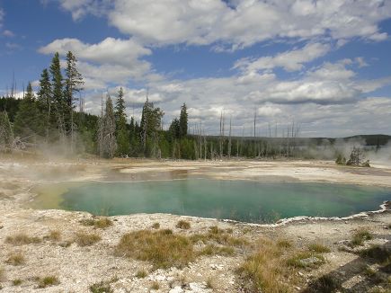 10-D�as por Yellowstone, Grand Teton, el Ca��n Bryce, el Gran Ca��n, Disneyland y el Mundo Marino