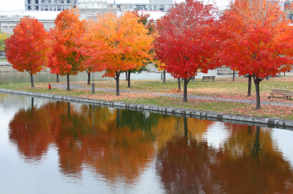 How To Enjoy The Fall Foliage in Canada?