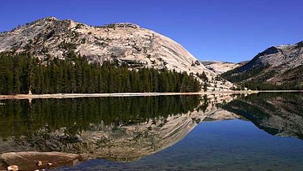 7-Day Bus Tour to Yosemite, Las Vegas, Grand Canyon(South or West Rim), Disneyland and Universal Studios **Popular Summer Bus Tour**