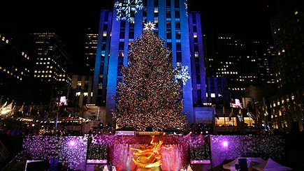 NY See The Holiday Lights! Tour