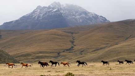 7-Day Andes & Amazon Ecuador Tour (Quito Departure)
