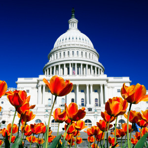 Boston, New York & Washington Dc Boston, New York & Washington Dc