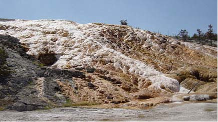 7 D�as en autob�s a Yellowstone, Grand Teton, Salt Lake City, y Grand Canyon West (Skywalk), desde Las Vegas