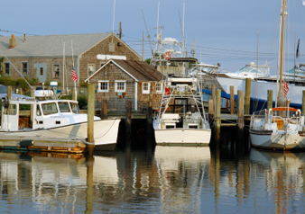 cape cod tour