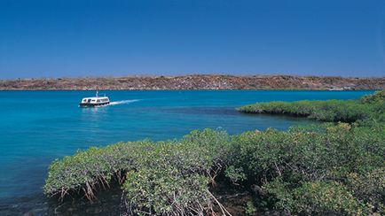 Cruising The Galapagos On Board The Santa Cruz with Peru, Ecuador's Amazon & Nazca Lines