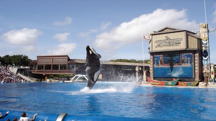 1 D&iacute;a de Sea World o la Ciudad de San Diego