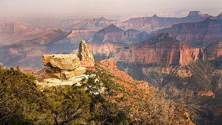 Grand Canyon Celebration Helicopter Tour