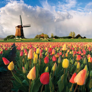 Holland Tours