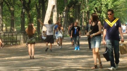 New York Walking Tours