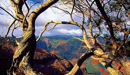 Kauai Tour of Waimea Canyon Deep Exploration
