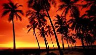 Hawai Hoteles